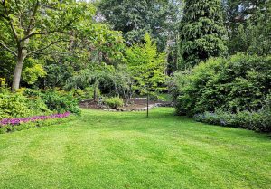 Optimiser l'expérience du jardin à Ennery